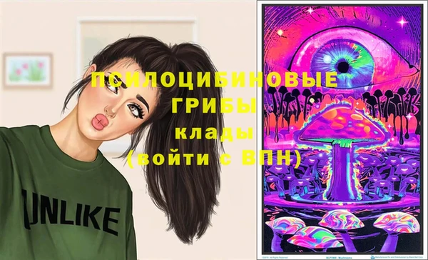 экстази Богородицк