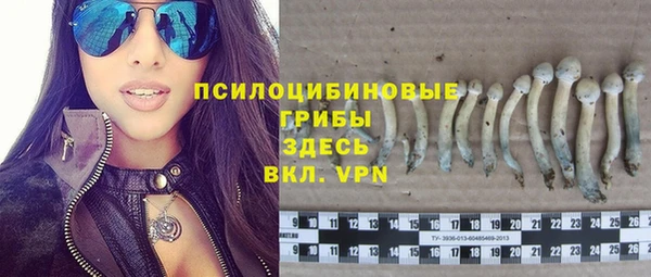 экстази Богородицк