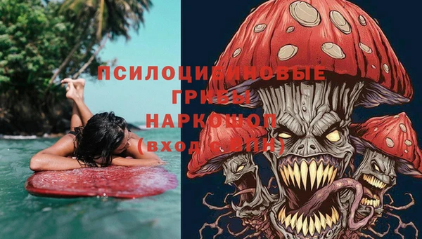 a pvp Богданович