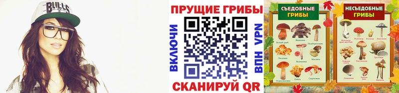 mega зеркало  Мензелинск  Галлюциногенные грибы мицелий 